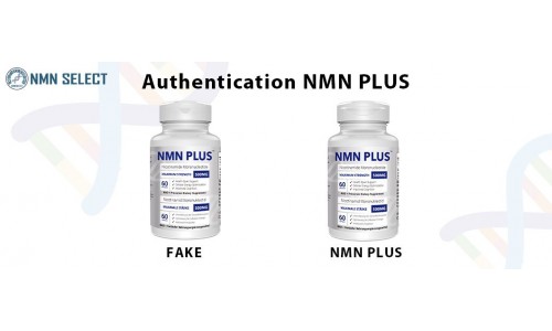 About Authentication NMN PLUS